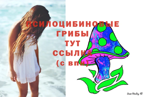 круглые Зеленокумск