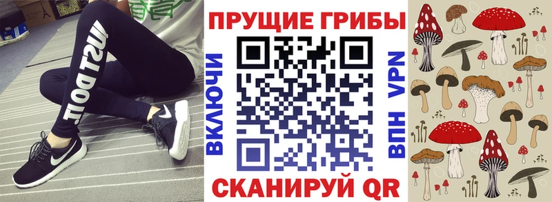 Псилоцибиновые грибы Psilocybine cubensis  Каменногорск 