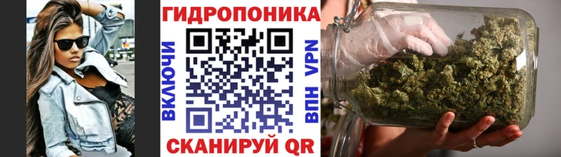 купить  цена  Каменногорск  МАРИХУАНА конопля 